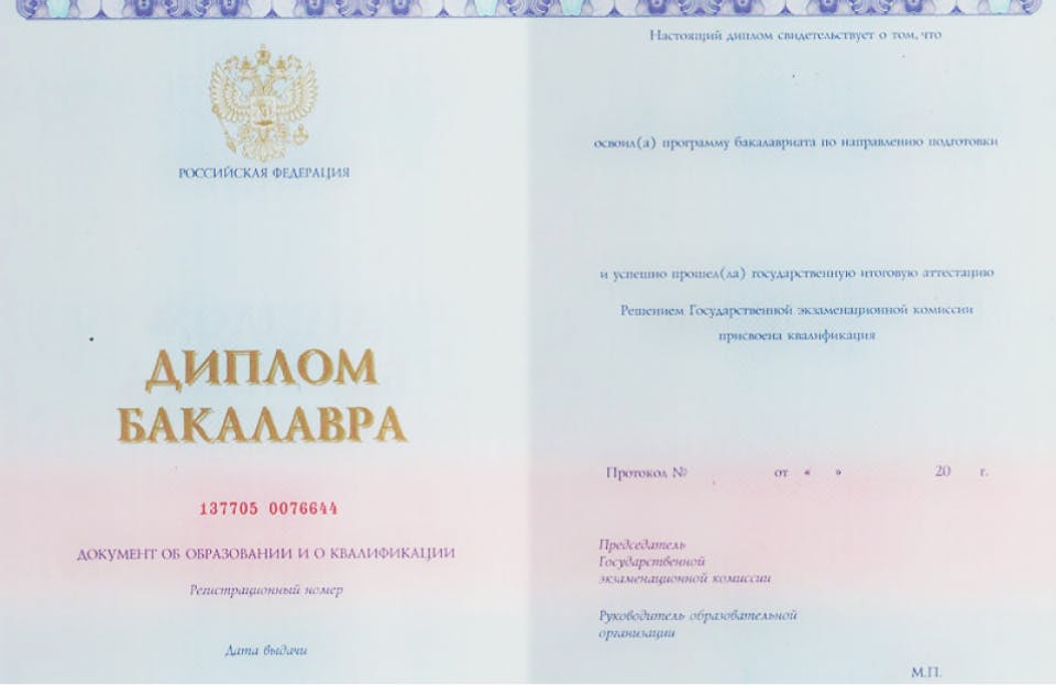 Bachelor's diploma